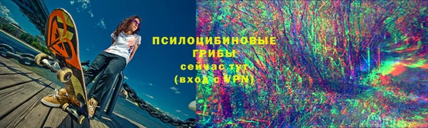 ALPHA PVP Алексин