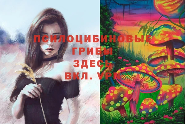 ALPHA PVP Алексин
