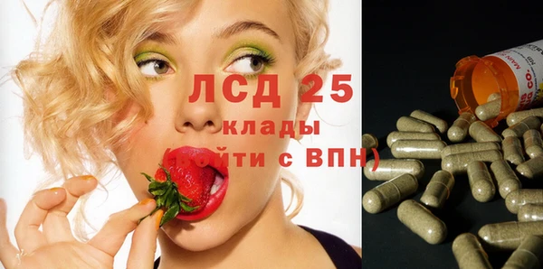 круглые Абаза