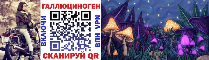 Псилоцибиновые грибы Magic Shrooms  мега ONION  Камень-на-Оби 